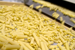 dry pasta 